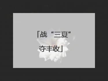 战“三夏” 夺丰收