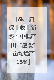 战三夏 保丰收丨新乡：中低产田“逆袭” 亩均增产15%