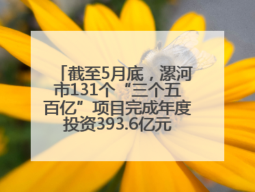 截至5月底，漯河市131个“三个五百亿”项目完成年度投资393.6亿元，占年度投资计划的50.41%——“三个五百亿”项目带动产业提质升级