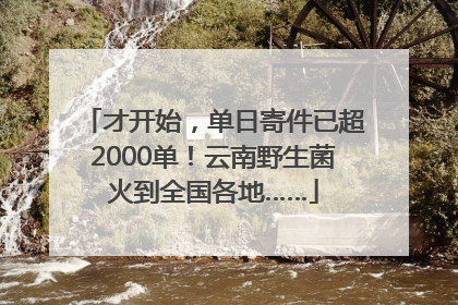 才开始，单日寄件已超2000单！云南野生菌火到全国各地……