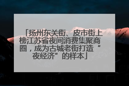 扬州东关街、皮市街上榜江苏省夜间消费集聚商圈，成为古城老街打造“夜经济”的样本