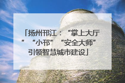 扬州邗江：“掌上大厅”“小邗”“安全大师”引领智慧城市建设