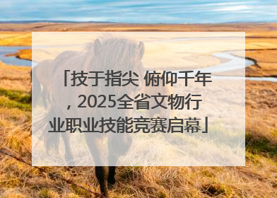 技于指尖 俯仰千年，2025全省文物行业职业技能竞赛启幕