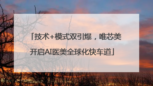 技术+模式双引爆，唯芯美开启AI医美全球化快车道