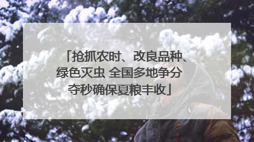 抢抓农时、改良品种、绿色灭虫 全国多地争分夺秒确保夏粮丰收