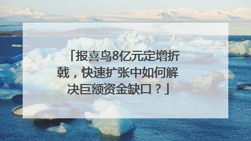 报喜鸟8亿元定增折戟，快速扩张中如何解决巨额资金缺口？