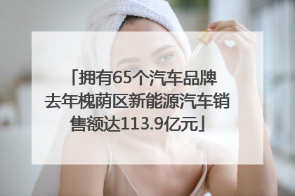 拥有65个汽车品牌 去年槐荫区新能源汽车销售额达113.9亿元