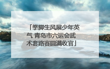 拳脚生风展少年英气 青岛市六运会武术套路赛圆满收官