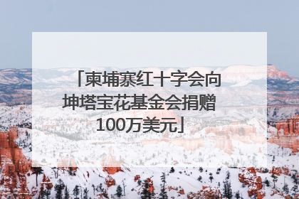 柬埔寨红十字会向坤塔宝花基金会捐赠100万美元