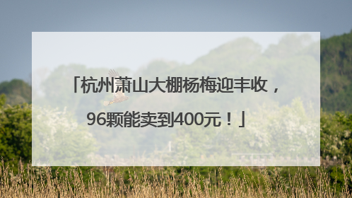 杭州萧山大棚杨梅迎丰收，96颗能卖到400元！