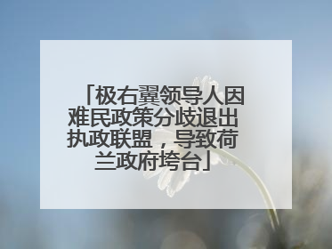 极右翼领导人因难民政策分歧退出执政联盟，导致荷兰政府垮台