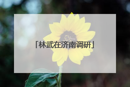林武在济南调研