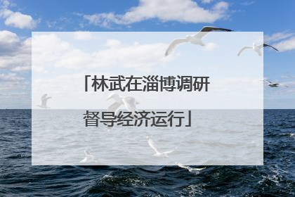 林武在淄博调研督导经济运行