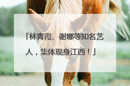 林青霞、谢娜等知名艺人，集体现身江西！