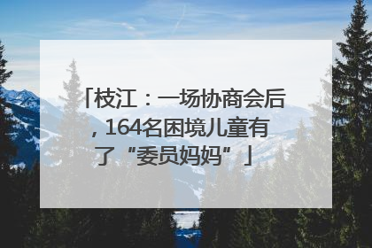 枝江：一场协商会后，164名困境儿童有了“委员妈妈”