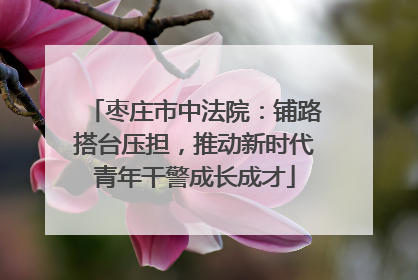 枣庄市中法院：铺路搭台压担，推动新时代青年干警成长成才