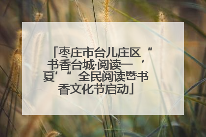 枣庄市台儿庄区“书香台城·阅读一‘夏’”全民阅读暨书香文化节启动