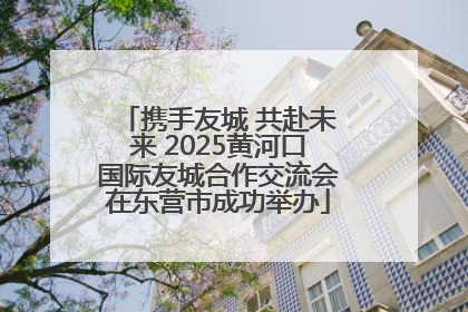 携手友城 共赴未来 2025黄河口国际友城合作交流会在东营市成功举办