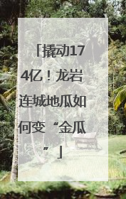 撬动174亿！龙岩连城地瓜如何变“金瓜”