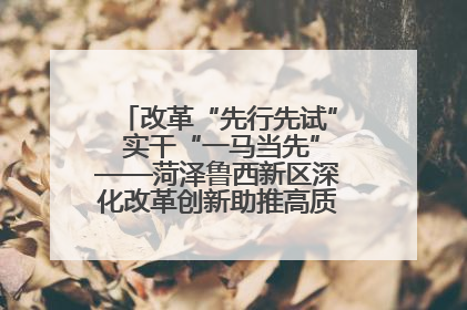 改革“先行先试” 实干“一马当先”——菏泽鲁西新区深化改革创新助推高质量发展纪实