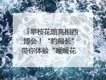 攀枝花馆亮相西博会！“豹局长”带你体验“暖暖花城”独特魅力｜西博视界
