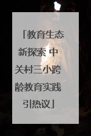 教育生态新探索 中关村三小跨龄教育实践引热议