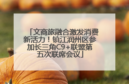 文商旅融合激发消费新活力！镇江润州区参加长三角C9+联盟第五次联席会议