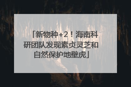 新物种+2！海南科研团队发现素贞灵芝和自然保护地壁虎