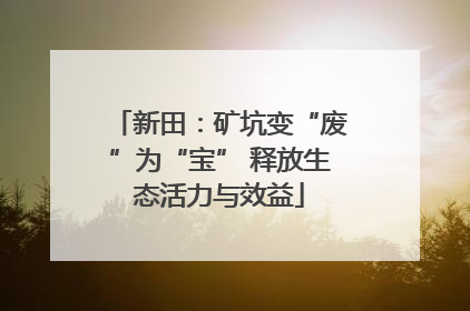 新田：矿坑变“废”为“宝” 释放生态活力与效益