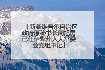 新疆维吾尔自治区政府原秘书长周旭勇已任伊犁州人大常委会党组书记