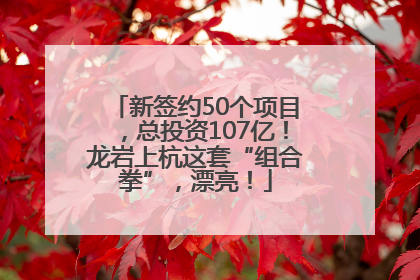 新签约50个项目，总投资107亿！龙岩上杭这套“组合拳”，漂亮！