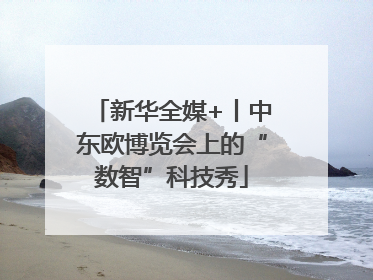 新华全媒+丨中东欧博览会上的“数智”科技秀