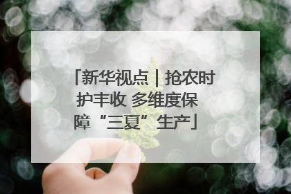 新华视点｜抢农时 护丰收 多维度保障“三夏”生产