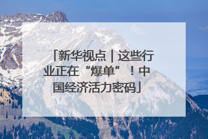 新华视点｜这些行业正在“爆单”！中国经济活力密码