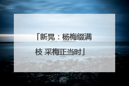 新晃：杨梅缀满枝 采梅正当时