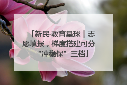 新民·教育星球｜志愿填报，梯度搭建可分“冲稳保”三档