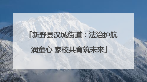 新野县汉城街道：法治护航润童心 家校共育筑未来