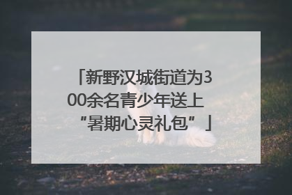 新野汉城街道为300余名青少年送上“暑期心灵礼包”