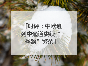 时评：中欧班列中通道赓续“丝路”繁荣