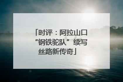 时评：阿拉山口“钢铁驼队”续写丝路新传奇