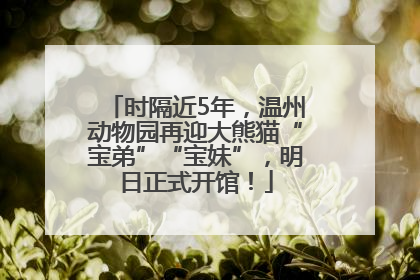 时隔近5年，温州动物园再迎大熊猫“宝弟”“宝妹”，明日正式开馆！