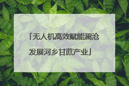无人机高效赋能澜沧发展河乡甘蔗产业