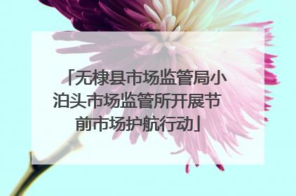 无棣县市场监管局小泊头市场监管所开展节前市场护航行动