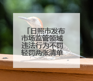 日照市发布市场监管领域违法行为不罚轻罚两张清单2.0版