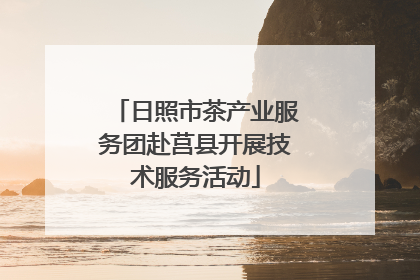 日照市茶产业服务团赴莒县开展技术服务活动