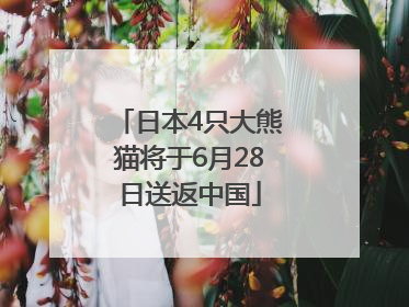 日本4只大熊猫将于6月28日送返中国