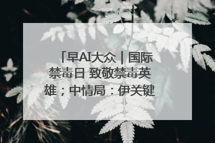 早AI大众｜国际禁毒日 致敬禁毒英雄；中情局：伊关键核设施被摧毁