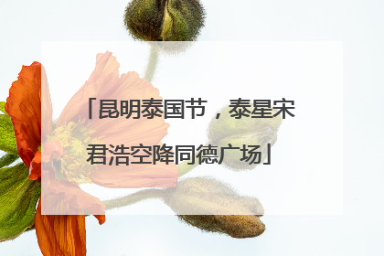 昆明泰国节，泰星宋君浩空降同德广场