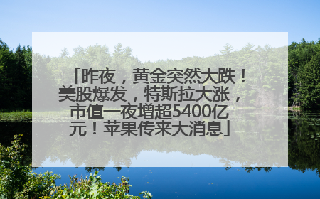 昨夜，黄金突然大跌！美股爆发，特斯拉大涨，市值一夜增超5400亿元！苹果传来大消息