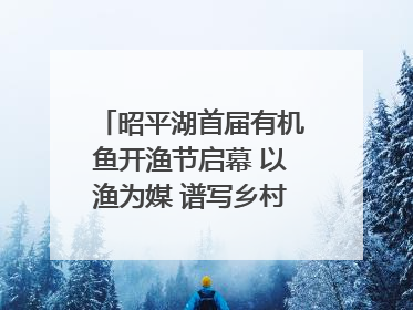 昭平湖首届有机鱼开渔节启幕 以渔为媒 谱写乡村振兴新篇章